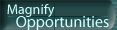 Magnify
Opportunities